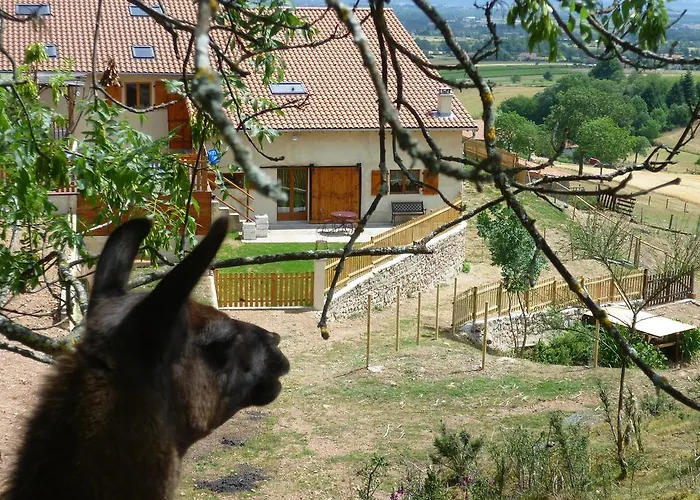 La Bruyere Aux Lamas