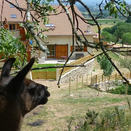 La Bruyere Aux Lamas Saint-André-dʼApchon Habitación foto