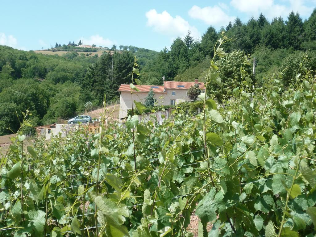 Holiday home La Bruyere Aux Lamas *